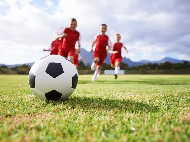Sports Chiropractor For Athletes Near Me in Bloomfield Hills, MI. Chiropractor For Athletes.
